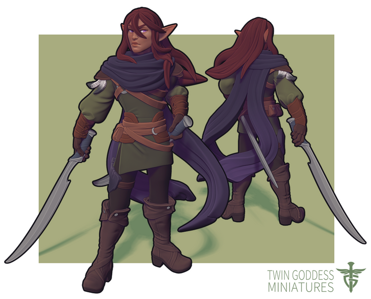 Hassan'dil the Elf Ranger