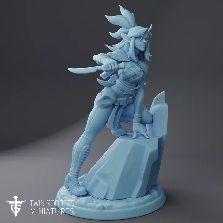 Ereltyrr the Drow Assassin