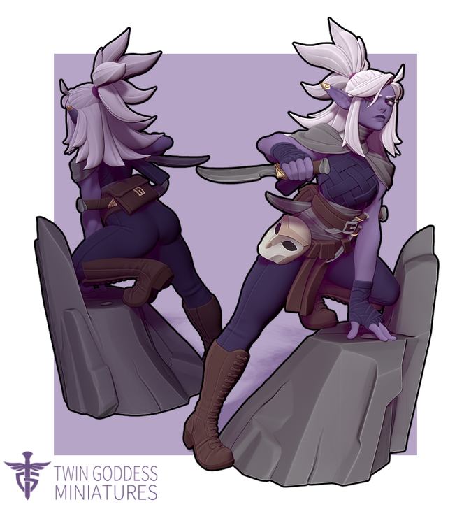 Ereltyrr the Drow Assassin