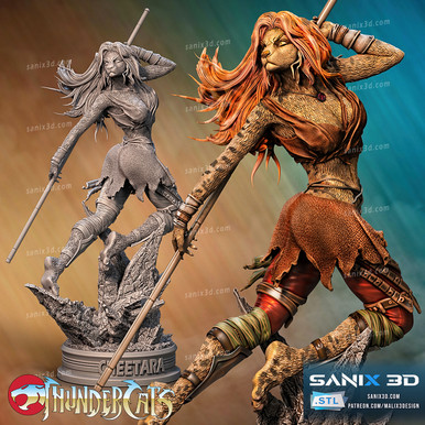 Cheetara Figure