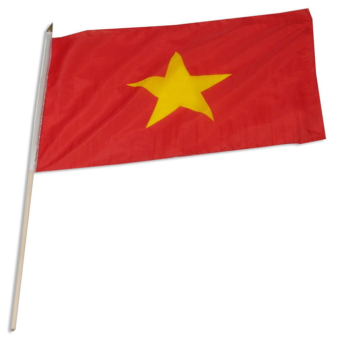 Vietnam 12" x 18" Mounted Flag
