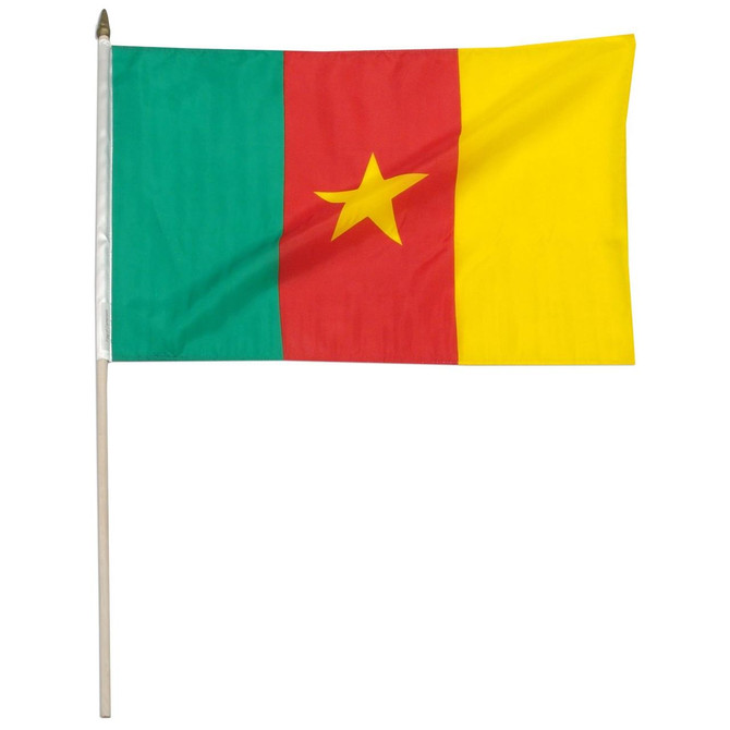 Cameroon 12" x 18" Mounted Flag