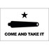 Come and Take It 3' x 5' Outdoor Nylon Flag