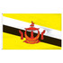 Brunei 3' x 5' Outdoor Nylon Flag