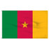 Cameroon 4' x 6' Outdoor Nylon Flag