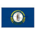 Kentucky 3' x 5' Outdoor Nylon Flag