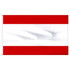 Tahiti 2' x 3' Light Weight Polyester Tahiti 2' x 3' Light Weight Polyester