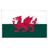 Wales 3' x 5' Light Weight Polyester