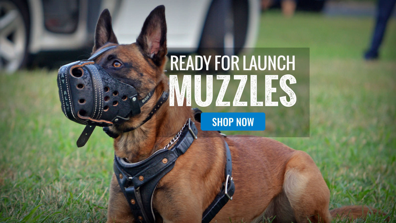 military dog accessories