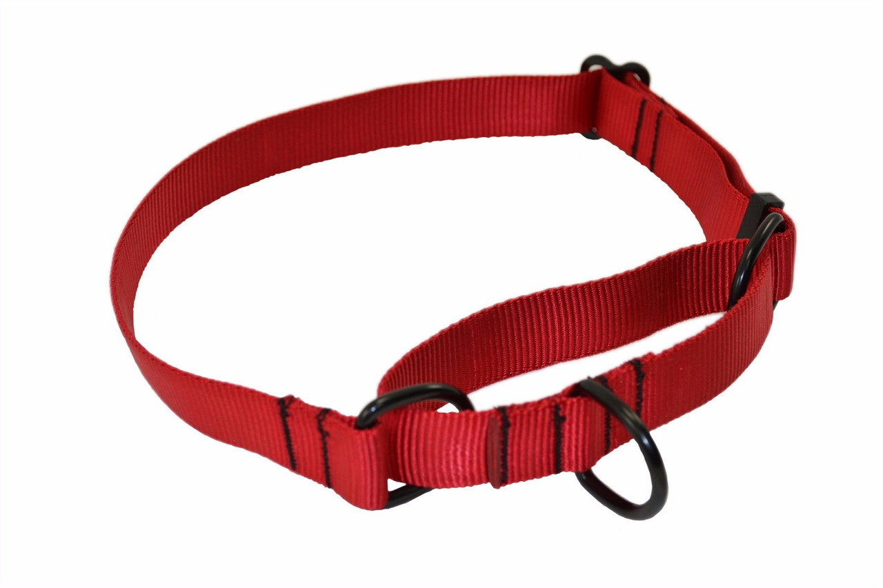 Martingale Nylon Collar K9 Training Collar Ray Allen Manufacturing