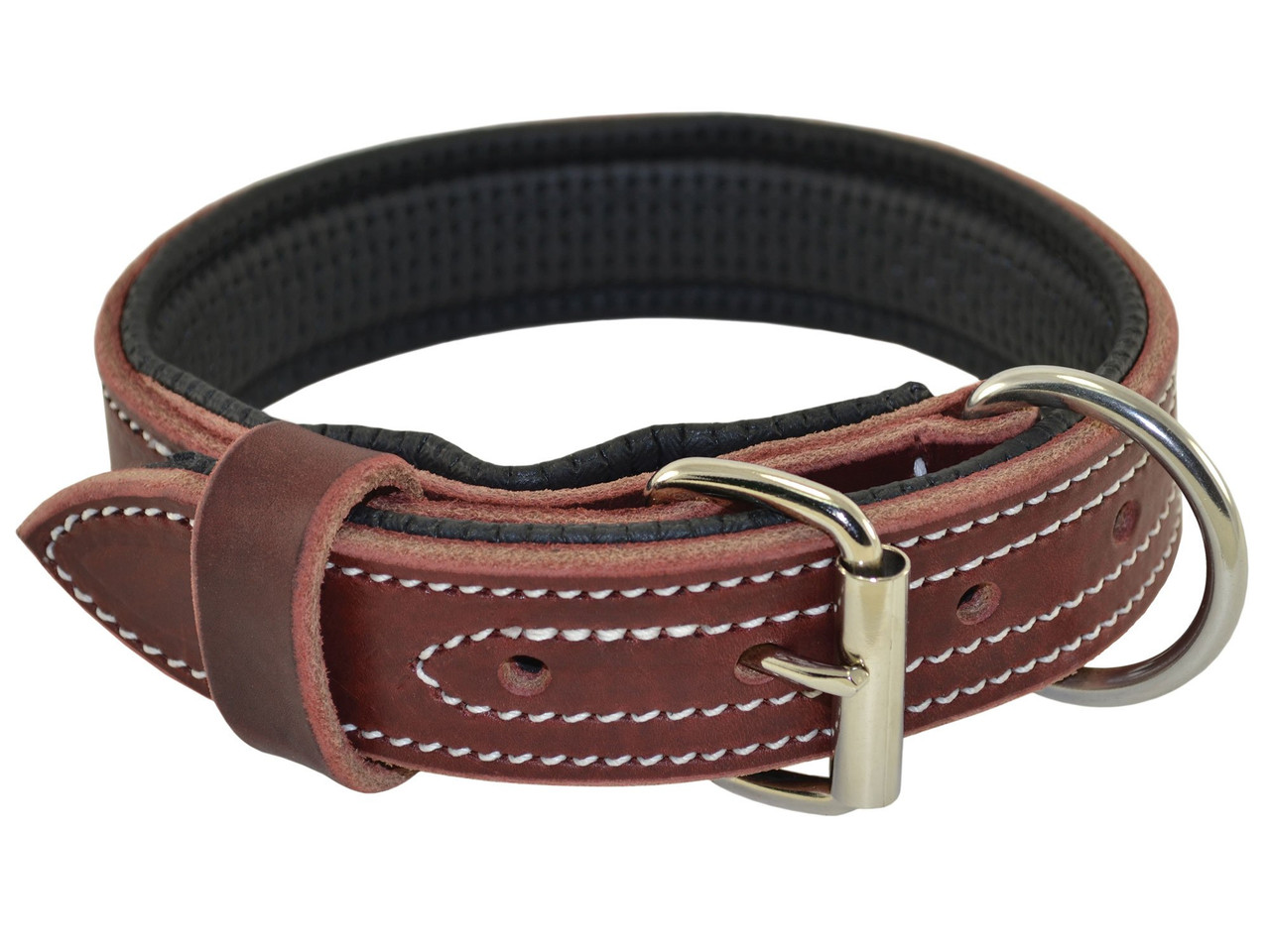 padded leather dog collar