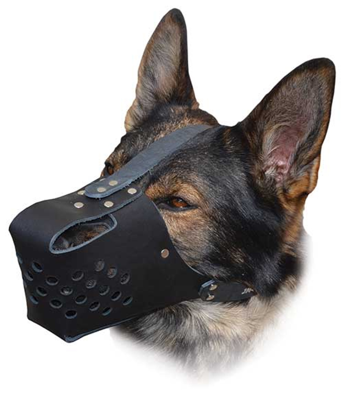 leather dog muzzle