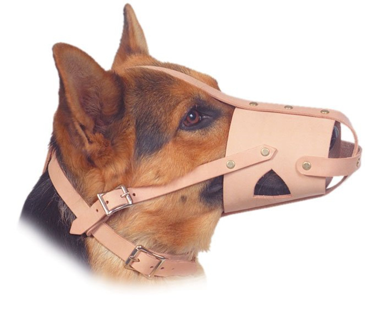 dog muzzle strap