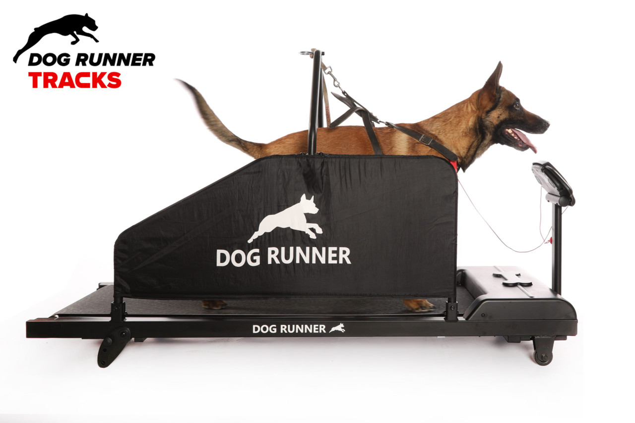 Dog Runner Tracks Electric Treadmill - Canine Athletes