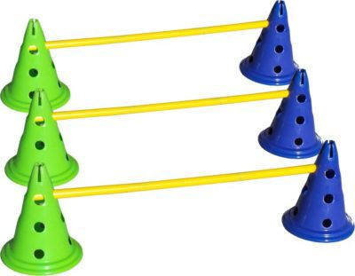 FitPAWS CanineGym® Dog Agility Set | Agility Training | Canine