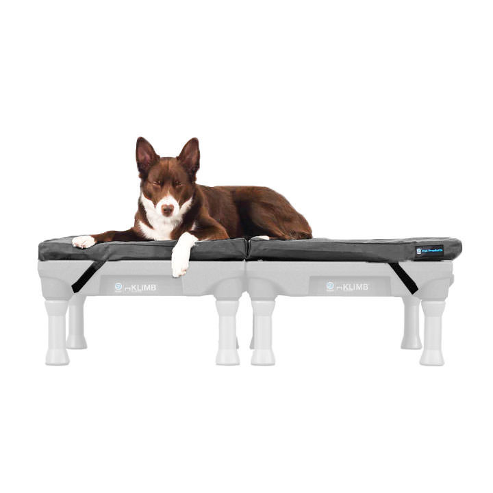 Blue-9 Restore Dog Bed | Memory Foam | Waterproof & Durable
