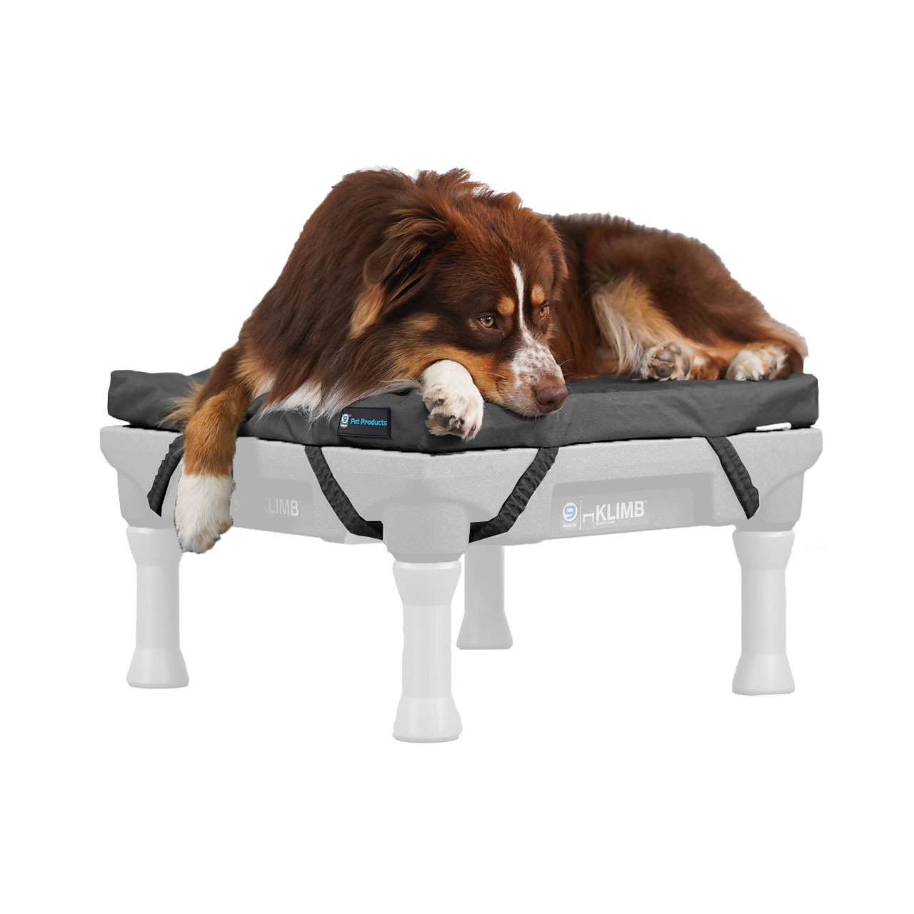 Blue-9 Restore Dog Bed | Memory Foam | Waterproof & Durable