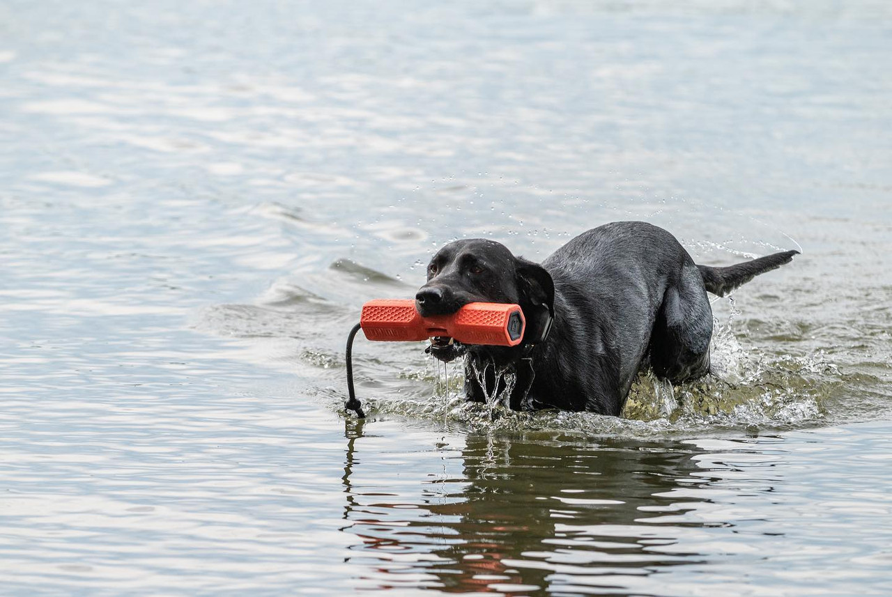 GUNNER® Bumper Gun Dog Training Tool Retrieval Float