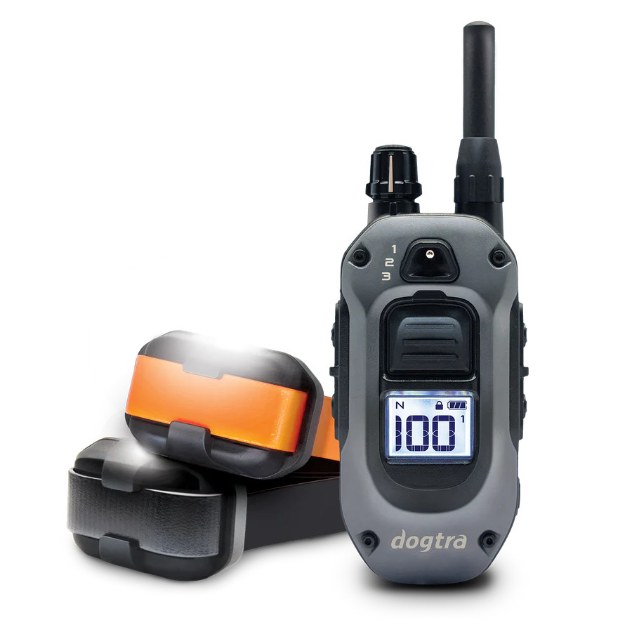 Dogtra 280X Trainer E Collar | Small Dog Training - Ray Allen