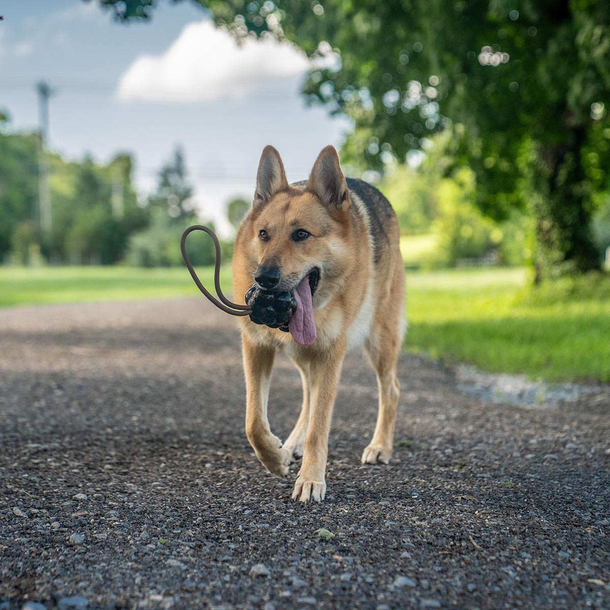 Rumble Rope Ball | Tough K9 Tug | Monster K9