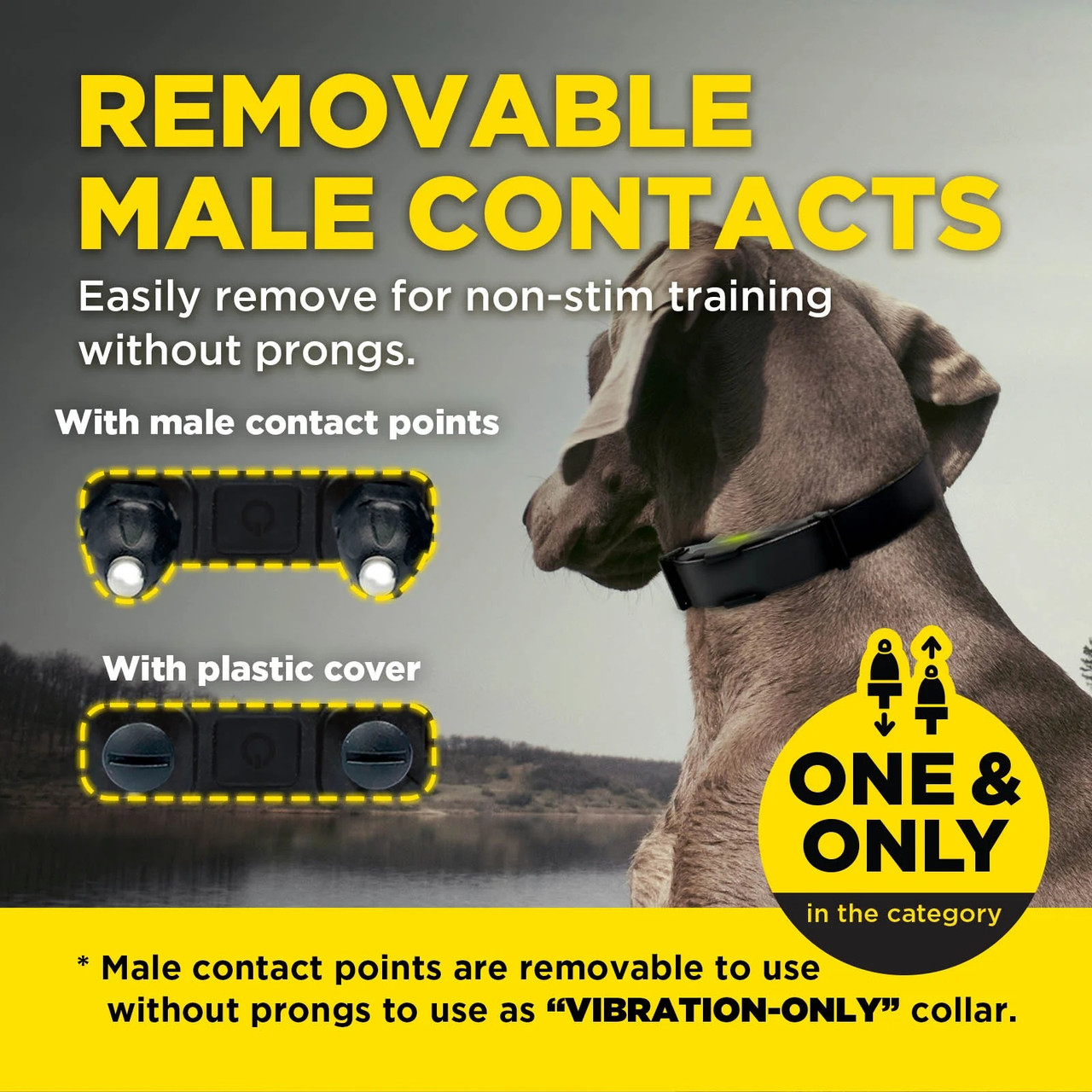 Dogtra ARC-X Collar Dog E-Collar Ray Allen Manufacturing