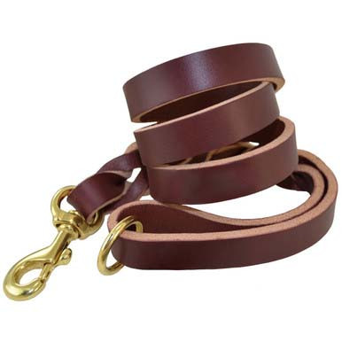 Latigo Leather Waist Leads | Tough Working Dog Leash - Ray Allen