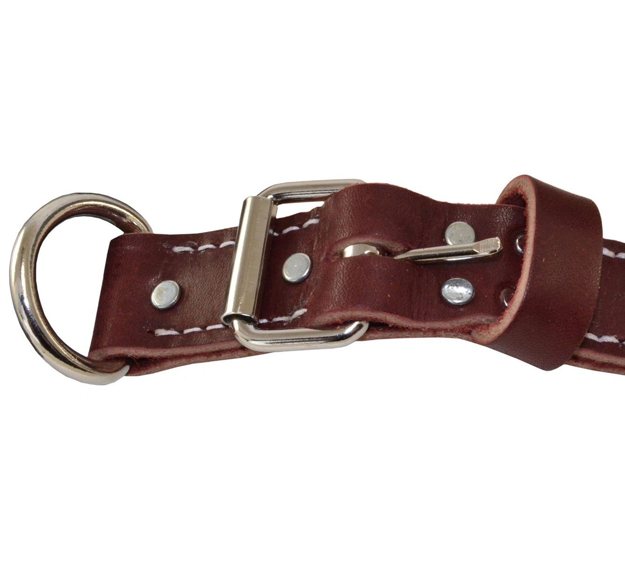 Latigo Leather Agitation Dog Collar - Ray Allen Manufacturing