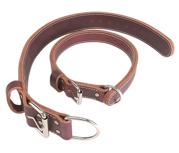 Latigo Leather Agitation Dog Collar - Ray Allen Manufacturing