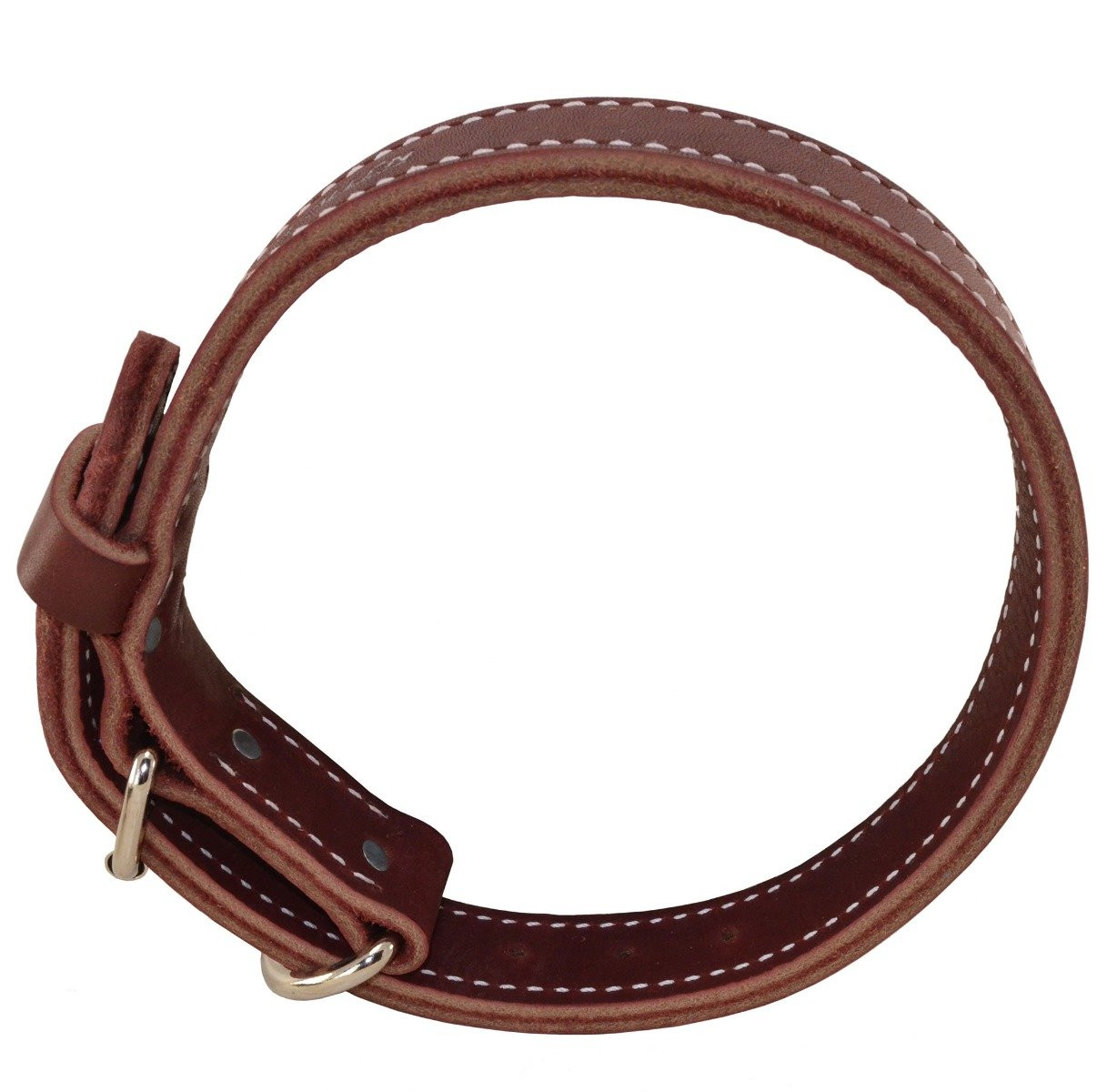 Latigo Leather Agitation Dog Collar - Ray Allen Manufacturing
