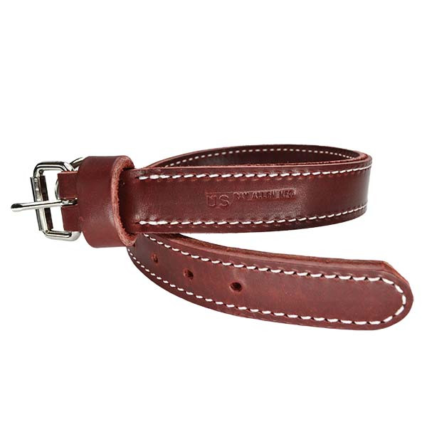 Latigo Leather Agitation Dog Collar - Ray Allen Manufacturing