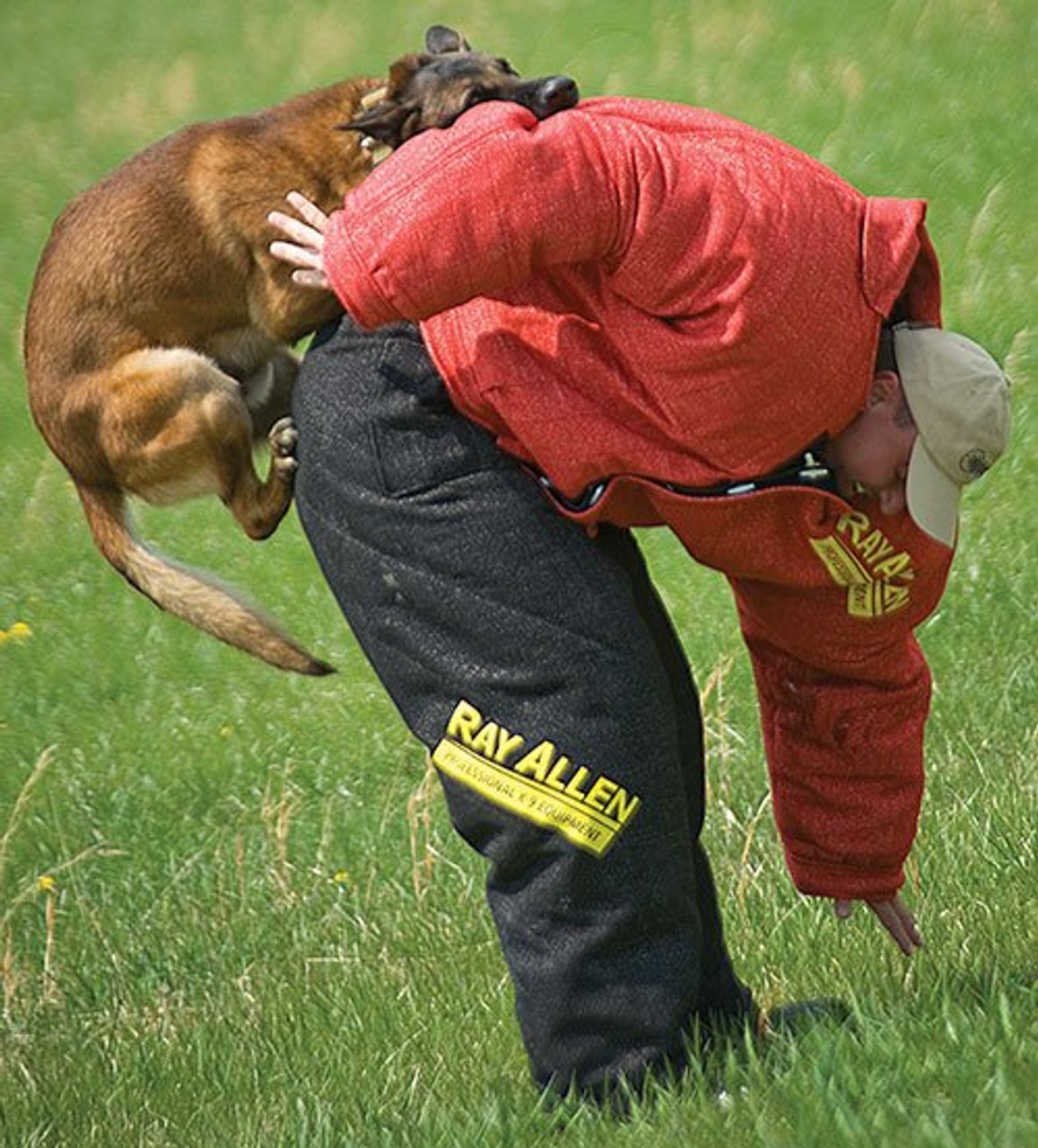 Guard dog clearance training suit