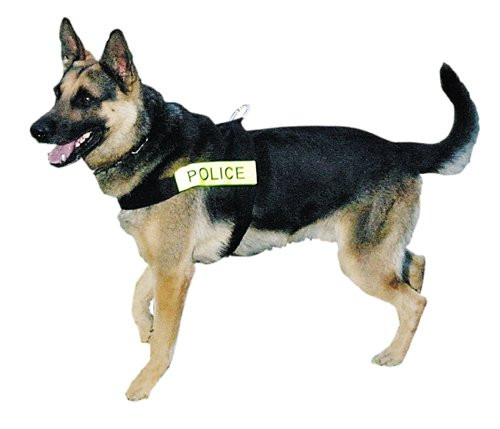 k9 patrol harness
