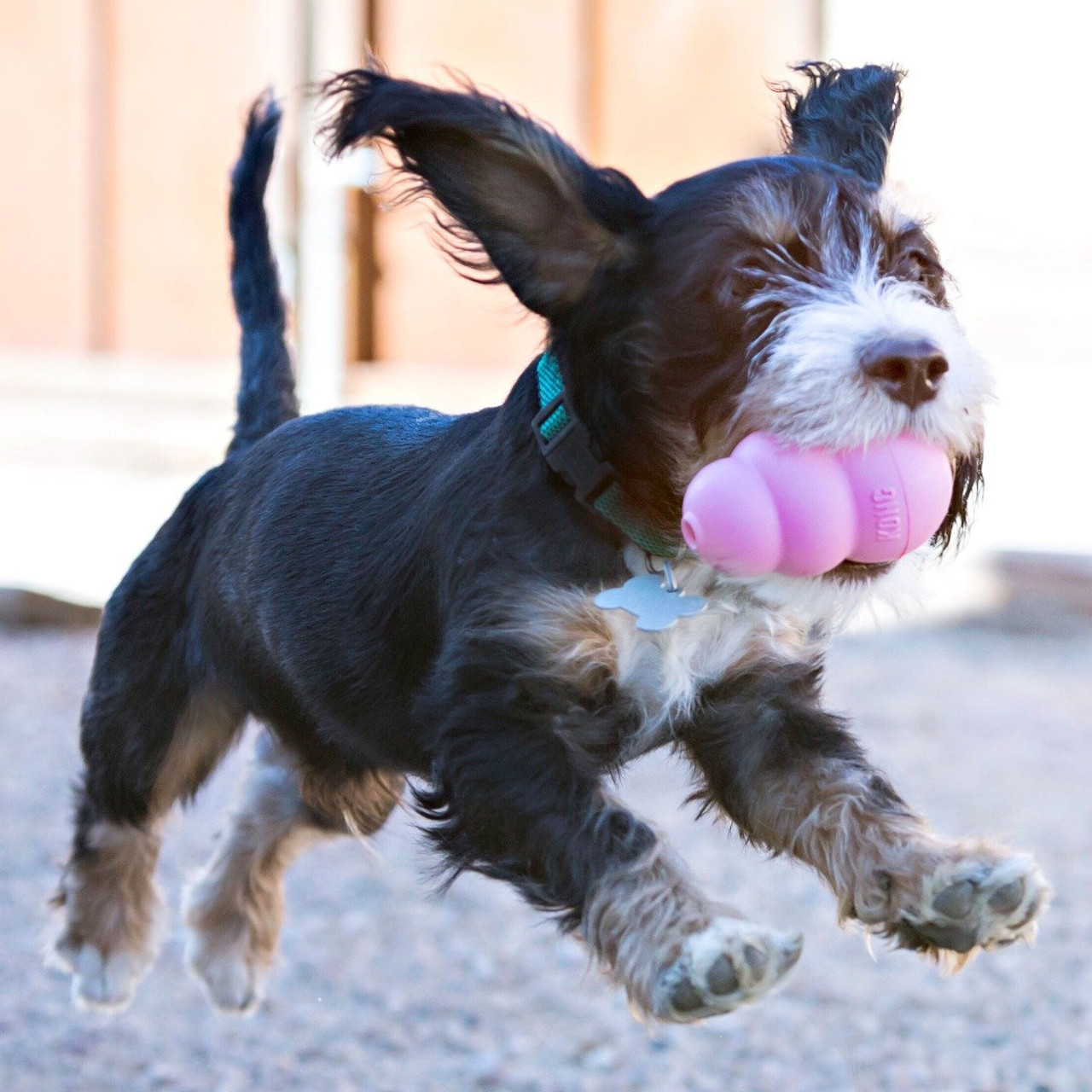 Puppy KONG® Teething Dog Toy - Jeffers