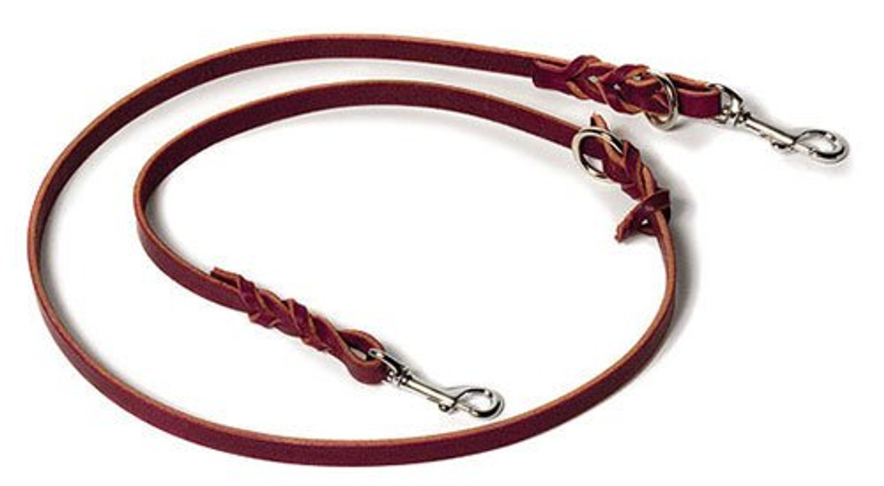 a dog leash