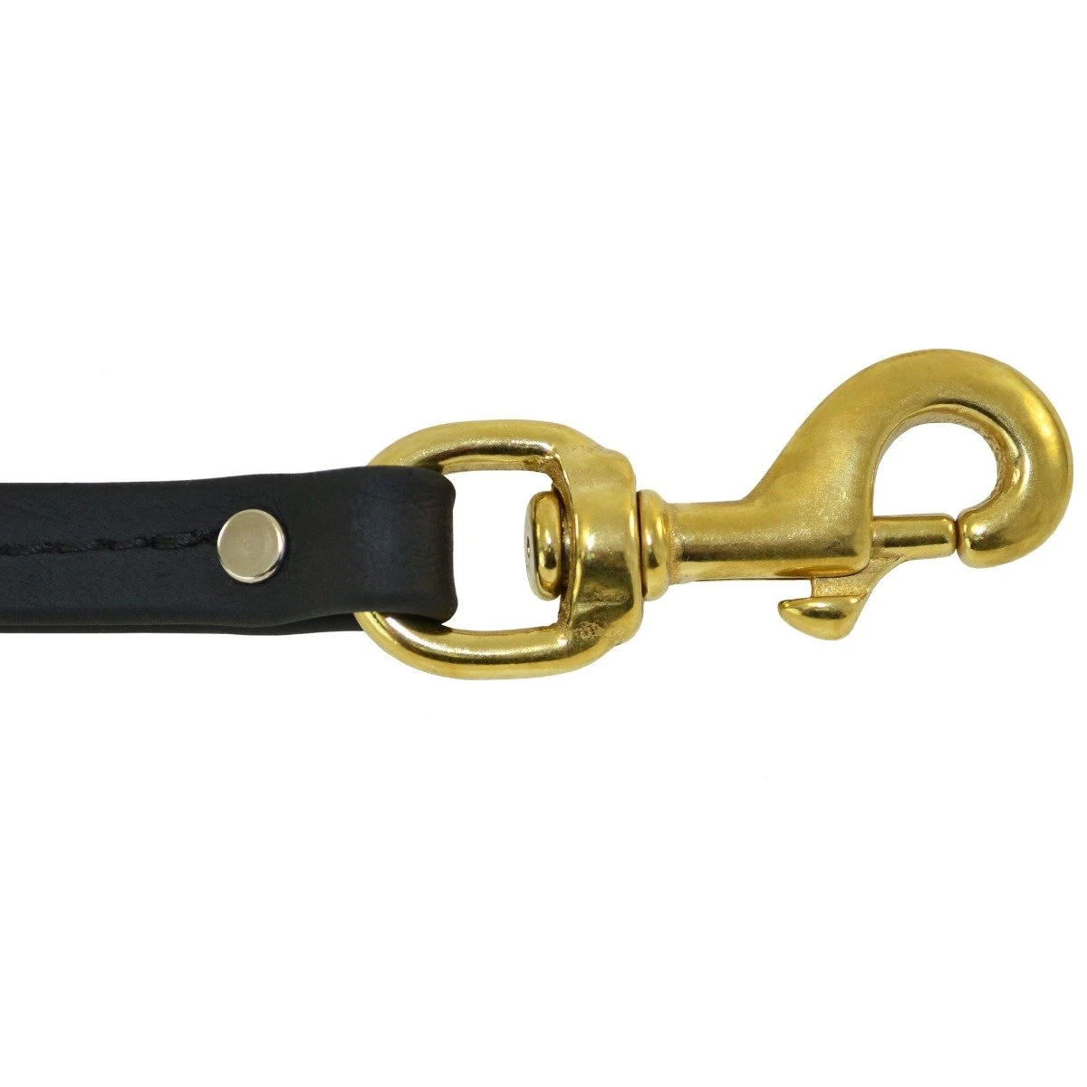 Biothane Long Line | K9 Tracking Leash - Ray Allen Manufacturing