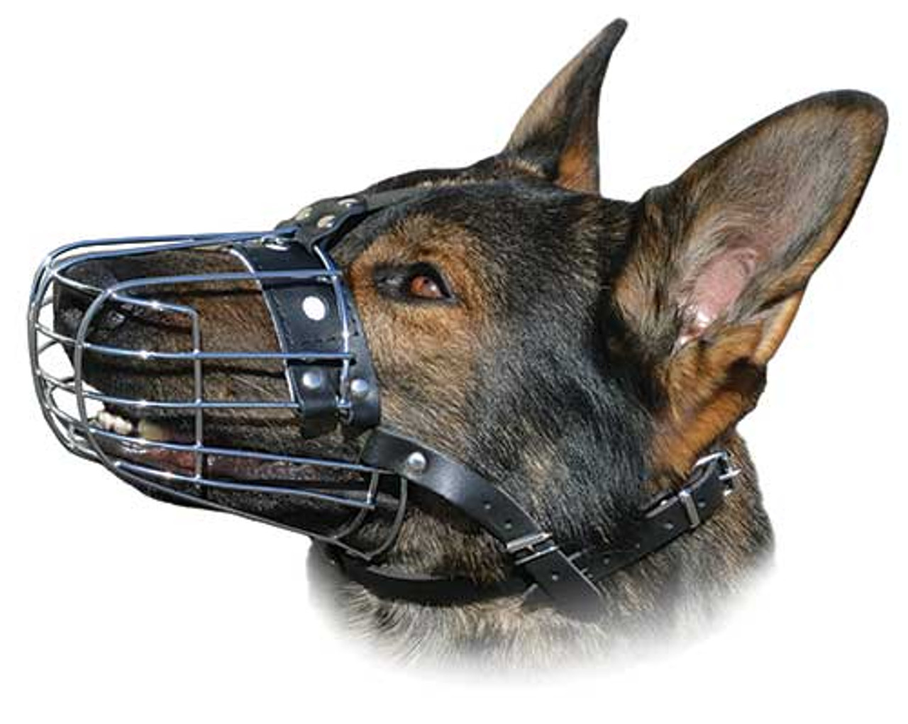 canine basket muzzle