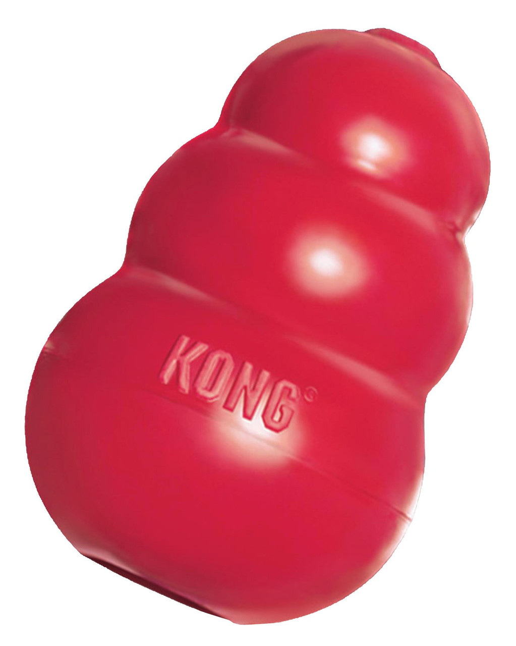 KONG Wobbler™ – Store For The Dogs