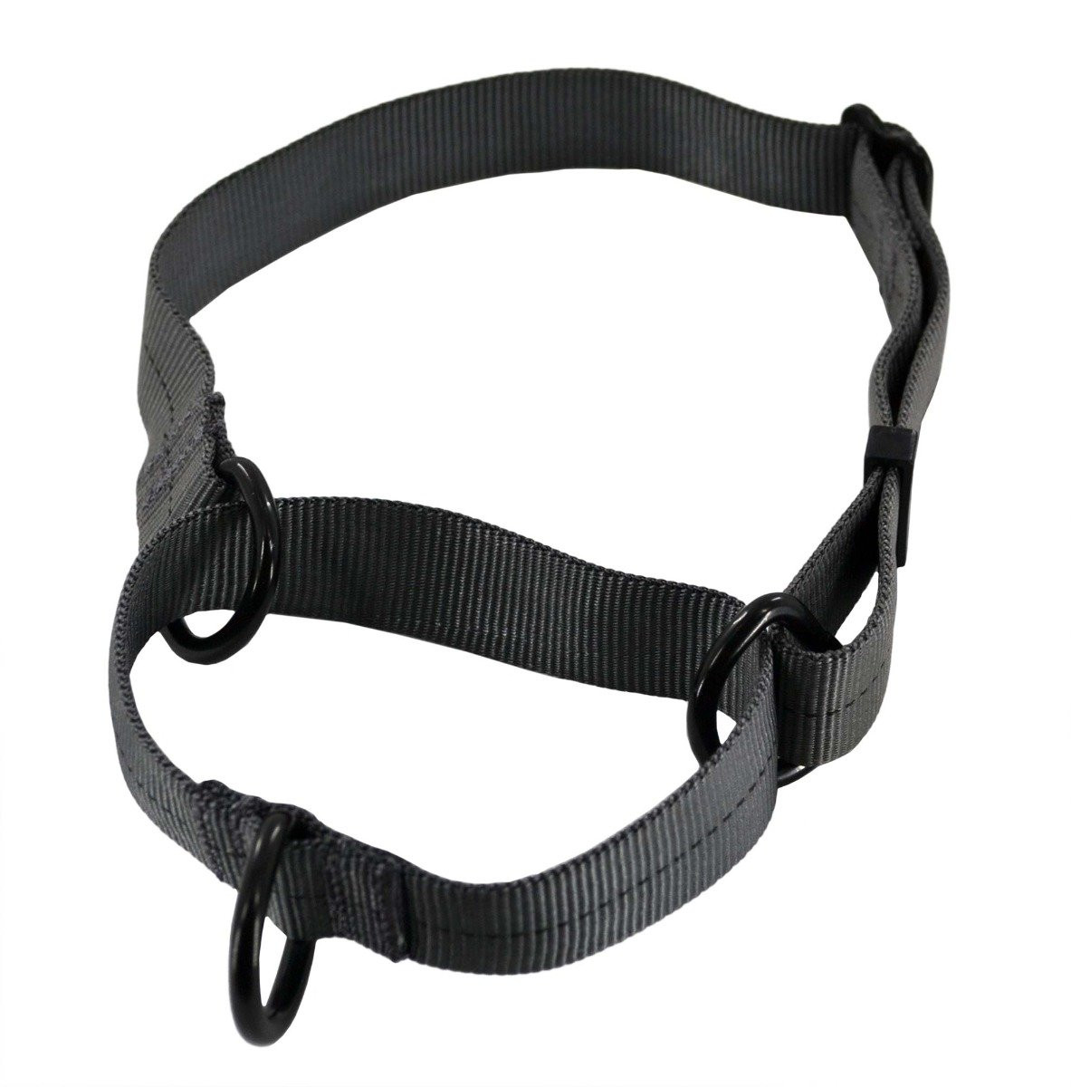 Collier de chien en Nylon Martingale pour petits e... - Grandado