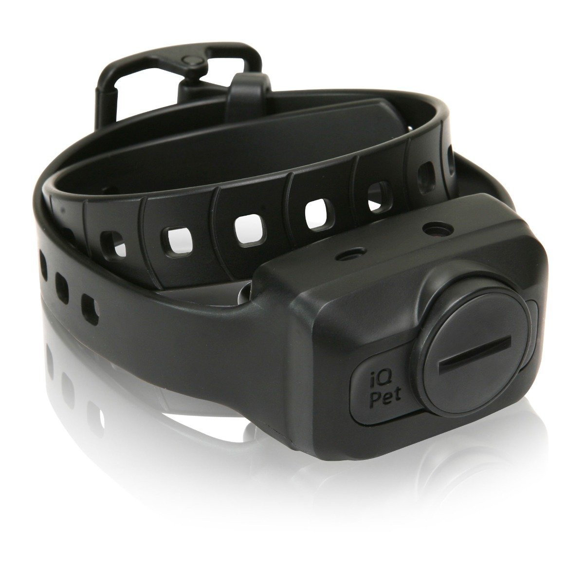 dogtra iq cliq