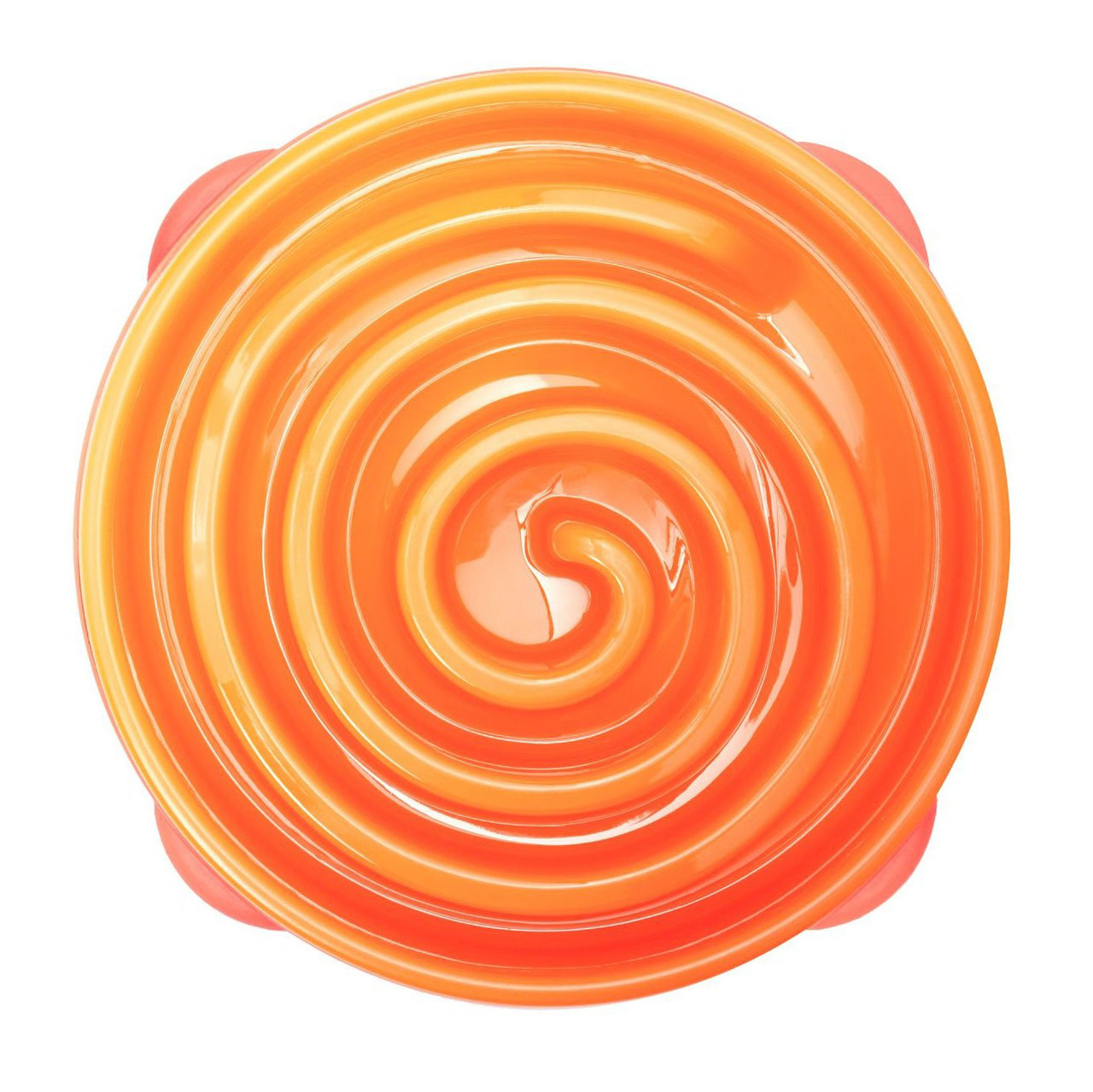 slow feeder bowl