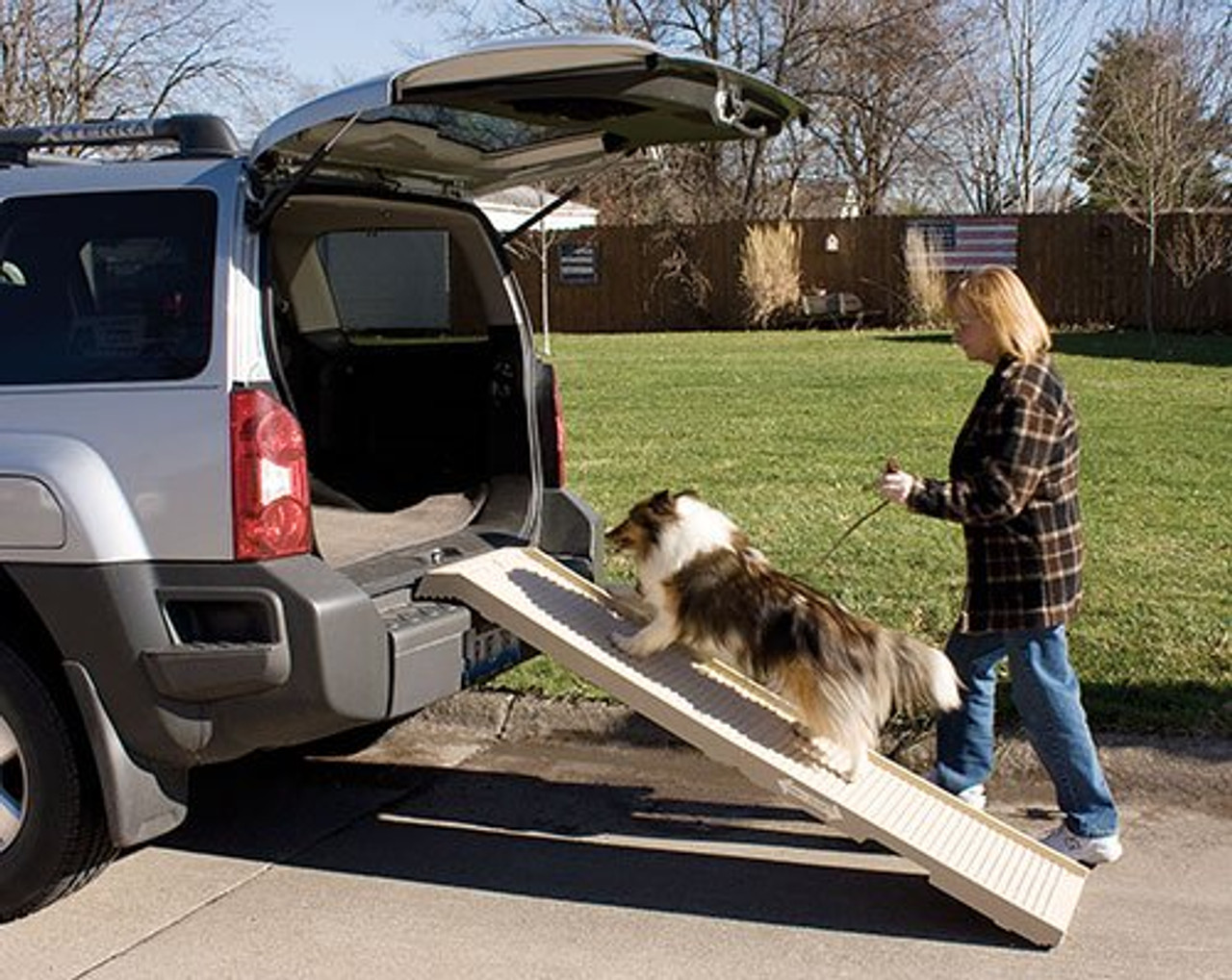 folding pet ramp