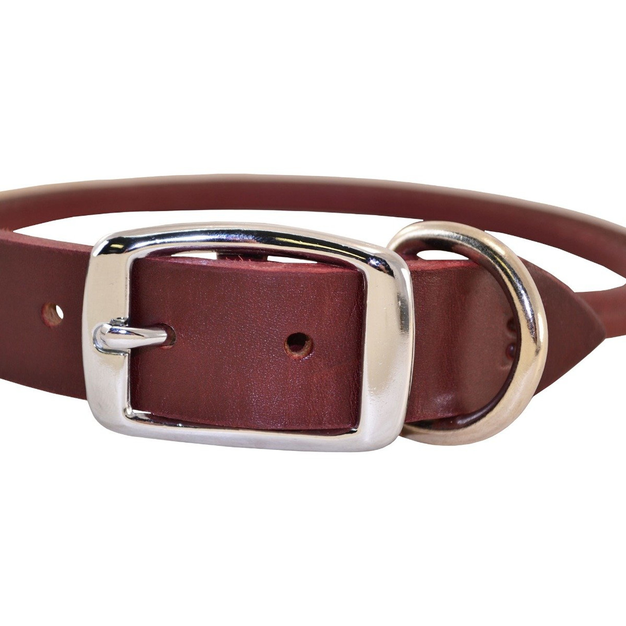 Rolled Leather Buckle Dog Collar | Latigo Quality - Ray Allen Manufacturing