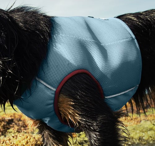 frog dog modular patrol vest