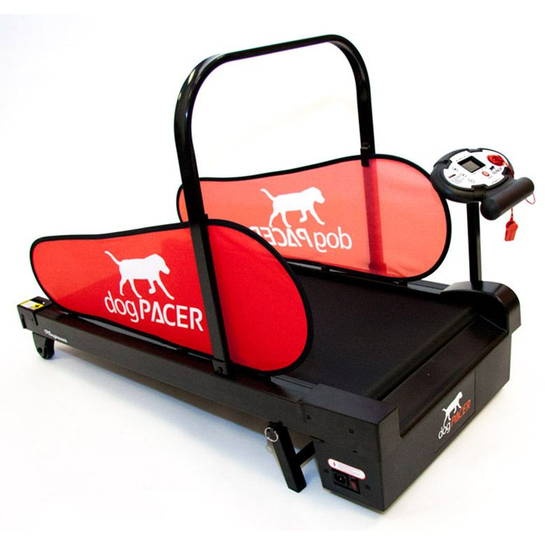 dogPACER Minipacer Treadmill | Dog Exercise - Ray Allen Manufacturing