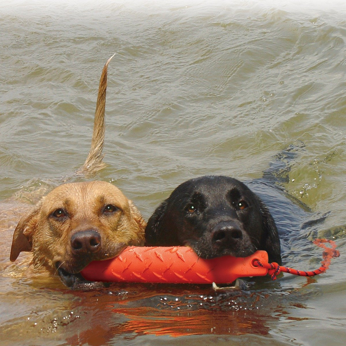 KONG™ Foam Training Dummies K9 Training Foam Dummy Ray Allen