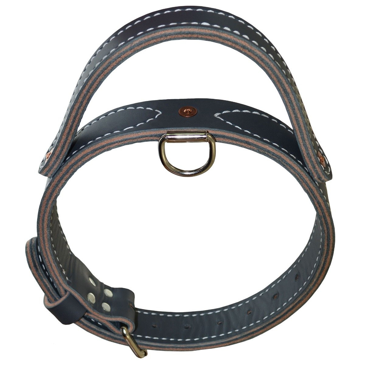 Gray Leather Dog Collar with Handle | Agitation Collar - Ray Allen