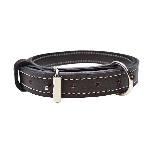Premier Leather Dog Collars | Exquisite Stitching & English Rein