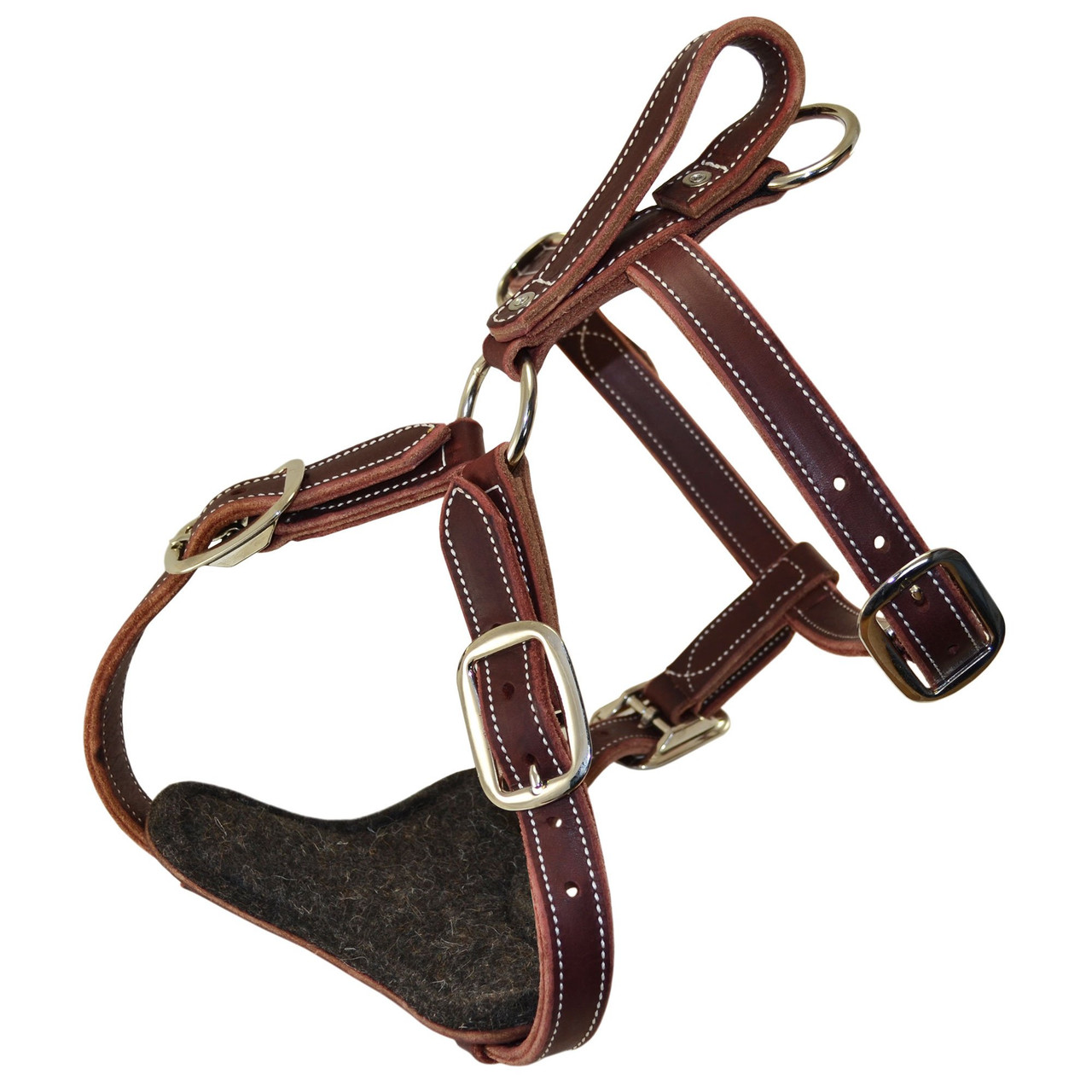 Double Layer Leather Harness - Ray Allen Manufacturing