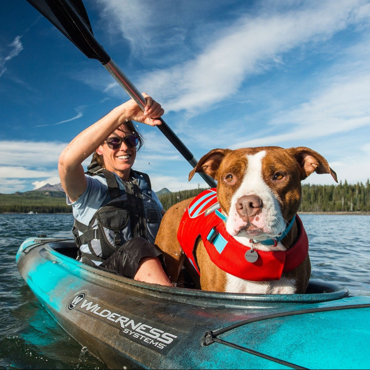 ruffwear life jacket