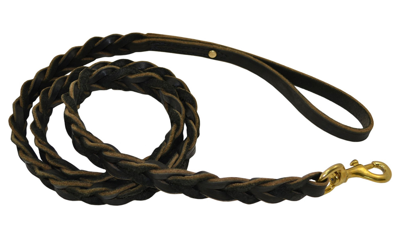 Slot Braided Leather Leash | Heavy-Duty Dog Leash - Ray Allen